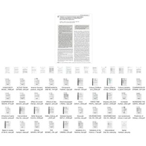 Whitepapers & Free 30 Day Access Technique Training